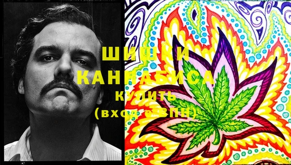 ECSTASY Кодинск